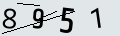 verifycode
